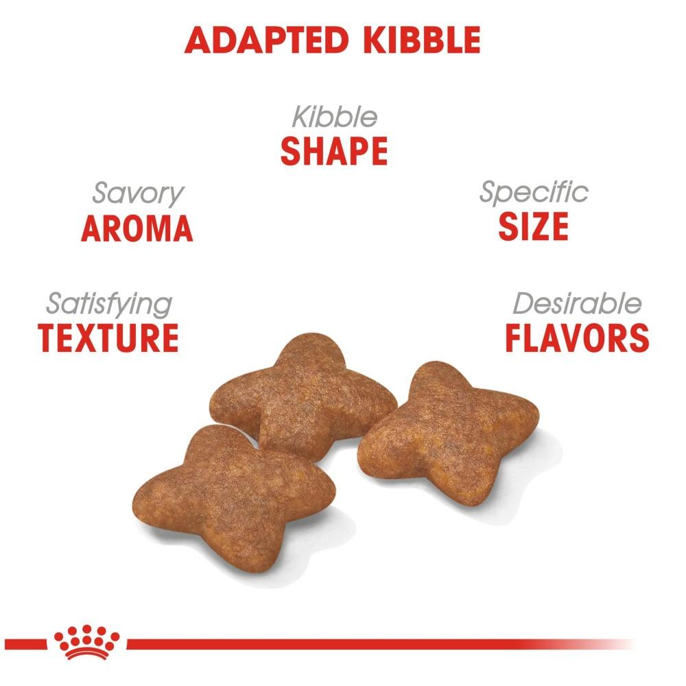 Cat Healthy Shape - Royal Canin