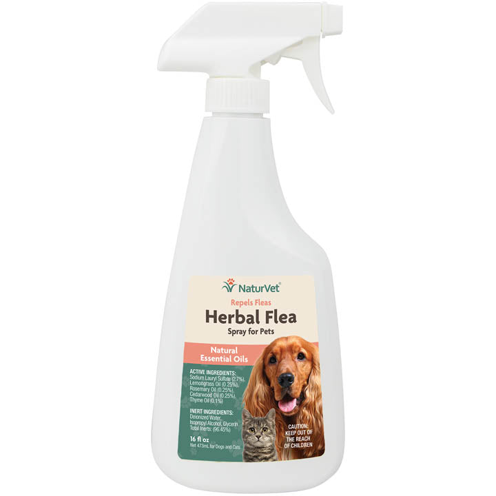 Herbal flea outlet treatment for cats