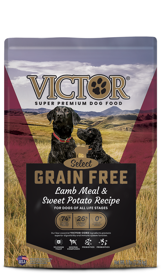 Grain free shop lamb dog food