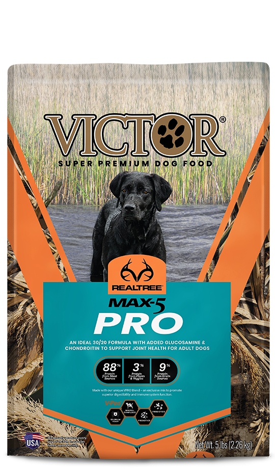 Victor salmon dog clearance food