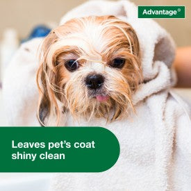 Advantage Dog Flea & Tick Shampoo for Puppies & Adult Dogs