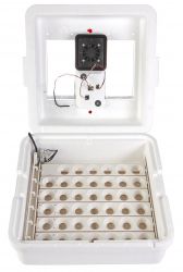 Little Giant Deluxe Incubator with Egg Turner