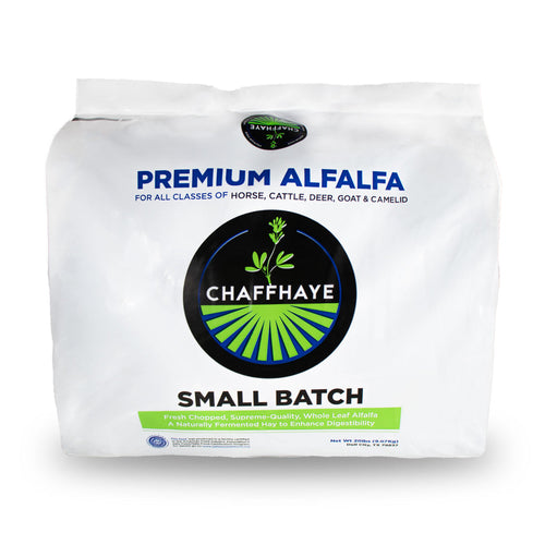 Rainy Day Foods Alfalfa Seed 5 lbs Bag – 756 Servings – (SHIPS IN 1-2  WEEKS) - PrepSOS.com