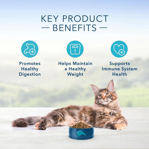 Blue buffalo indoor health best sale natural adult dry cat food