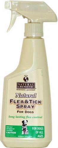 All natural flea and 2024 tick spray for dogs