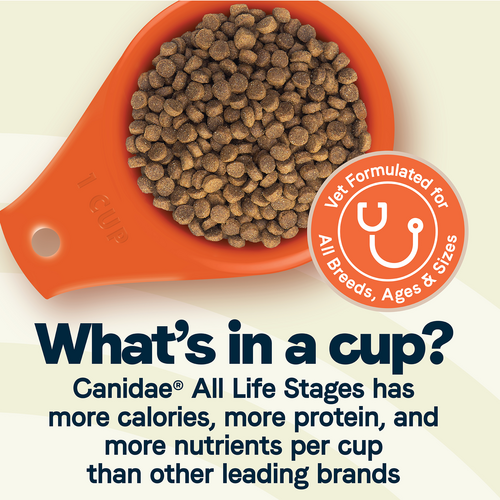 Canidae All Life Stages Large Breed Dry Dog Food, Turkey Meal and Brown Rice