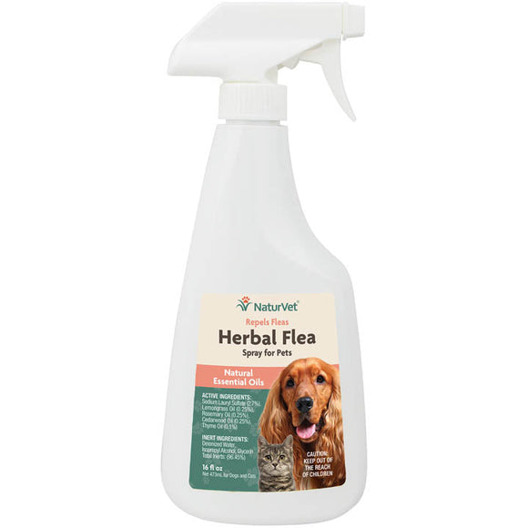 Herbal shop flea spray