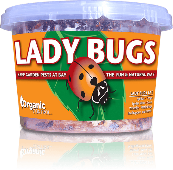 Lady Bugs, 1000 (In-Store Only) - Walt's Organic Fertilizer Co.