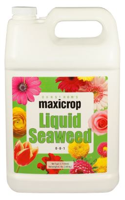 Maxicrop Liquid Seaweed Fertilizer 0-0-1