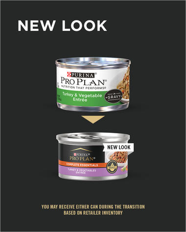 Purina Pro Plan Complete Essentials Turkey & Vegetables Entrée in Gravy Wet  Cat Food - Fort Worth, TX