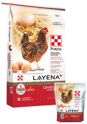 Purina Layena Omega 3 Feed Fort Worth TX Handley s Feed Store