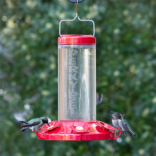 Perky-Pet® Grand 48 Plastic Hummingbird Feeder - 48 oz Nectar Capacity