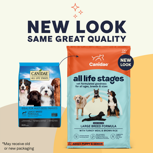 canidae all life stages