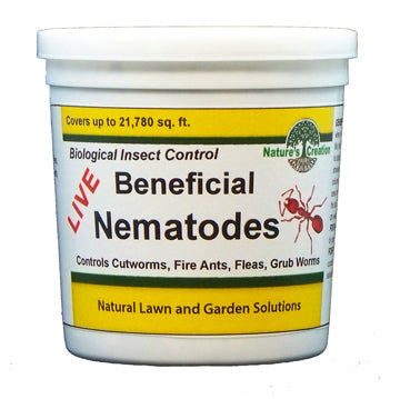 Use Beneficial Nematodes to Combat Insect Pests